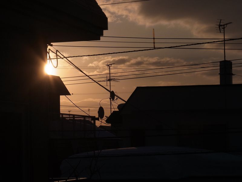昇る朝日が見えなくなった_c0025115_184679.jpg