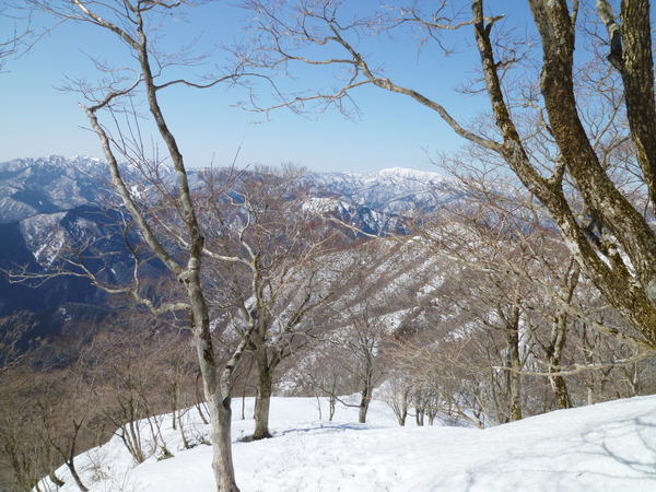 雪の小津権現山 (1,157.8M) に登る　　完_d0170615_111609.jpg