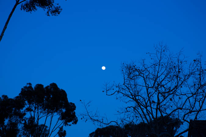 d0139939_1036236.jpg