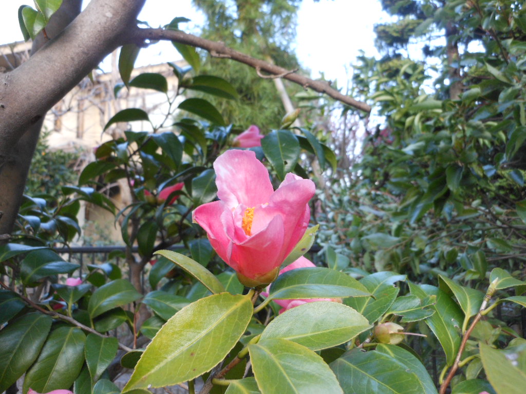 c0122744_2148111.jpg