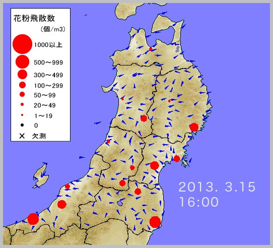 東北でも花粉が飛び始めました。_e0084756_17145575.jpg