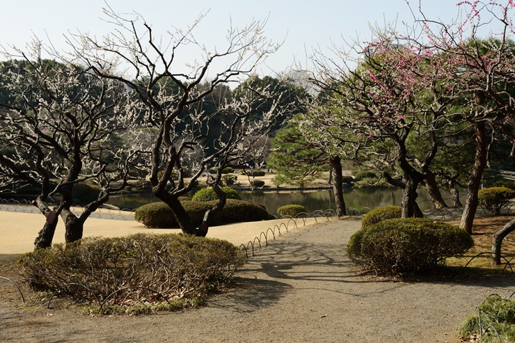 f0222161_917843.jpg