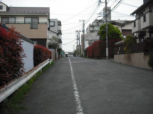 b0206463_19564422.jpg