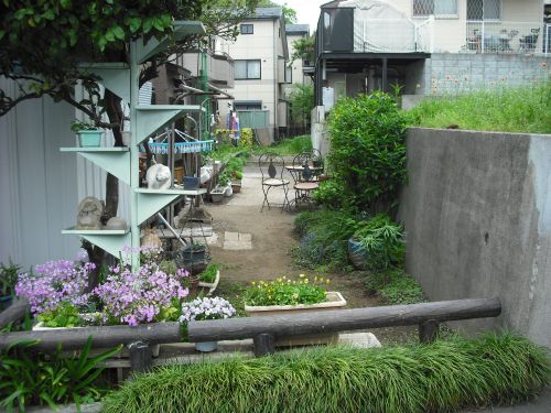 b0206463_19582179.jpg