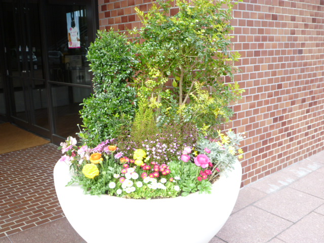f0200477_116864.jpg