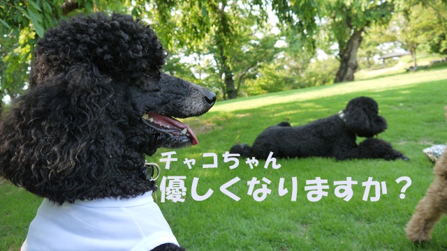 c0283778_16103157.jpg