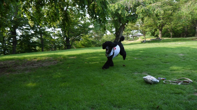 c0283778_16103260.jpg