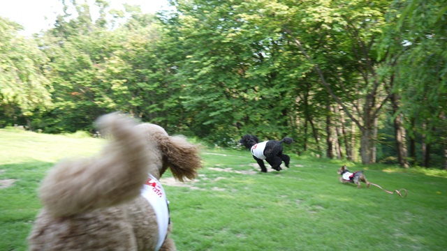 c0283778_16103264.jpg
