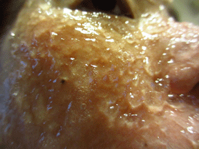 f0110488_14241356.gif