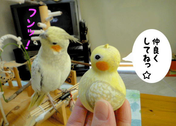 b0240299_15235134.gif