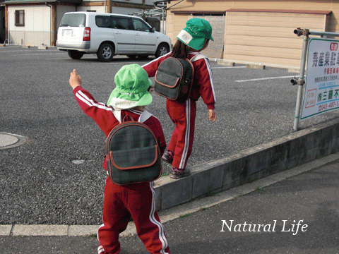 b0162000_2574992.gif