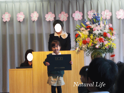b0162000_3121019.gif