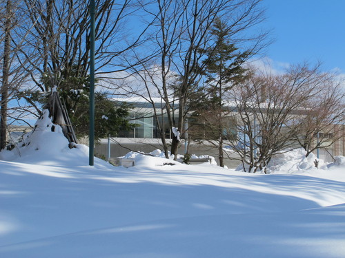 青春の詩碑　写真◎◎雪_c0075701_6545819.jpg