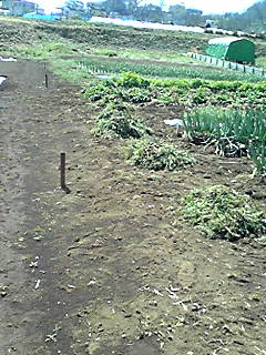 e0270403_2221325.jpg