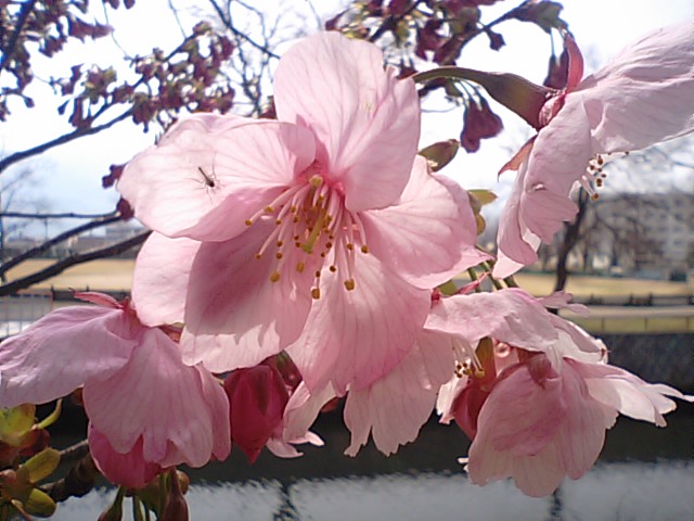 f0231709_15222885.jpg