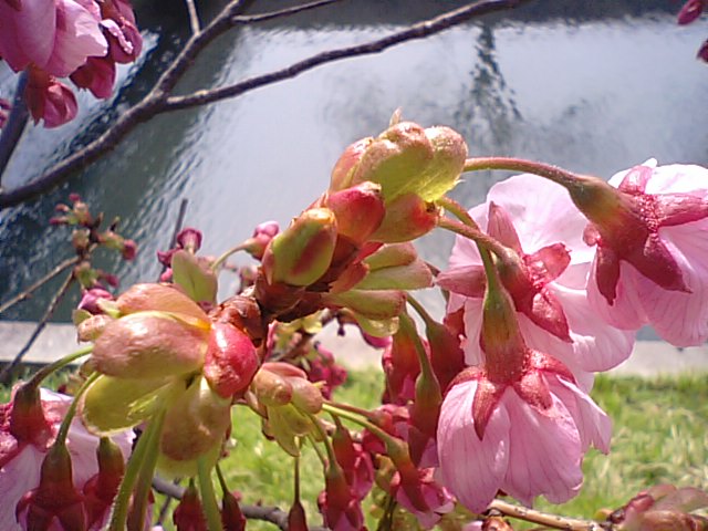 f0231709_15334015.jpg