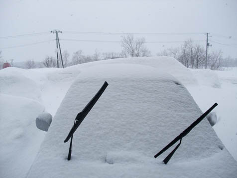 北海道は雪ですが何か？_d0072917_1983137.jpg