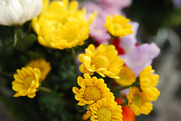 b0259218_1445324.jpg