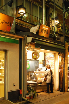 b0259218_1455723.jpg