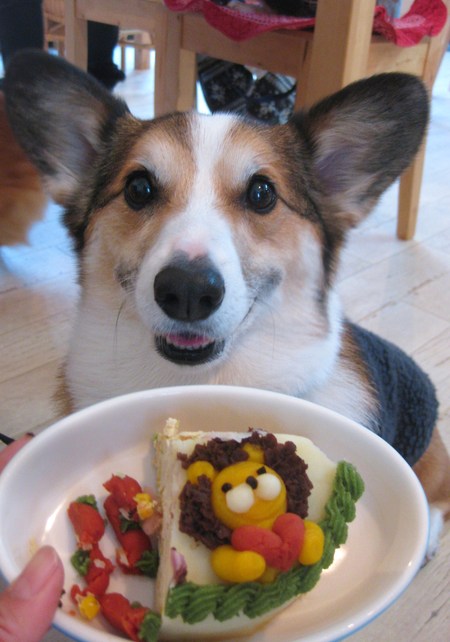 ボクたちのお誕生会_f0155118_10163618.jpg