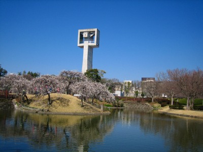 春のお花が満開です_b0100229_1156119.jpg