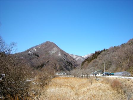 いわいずみ短角牛の子牛誕生シーズンです。_b0206037_22172727.jpg