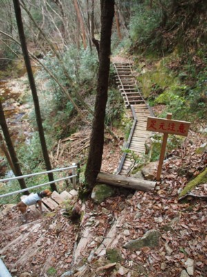 c0119142_8271915.jpg