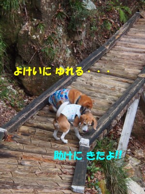 c0119142_974139.jpg