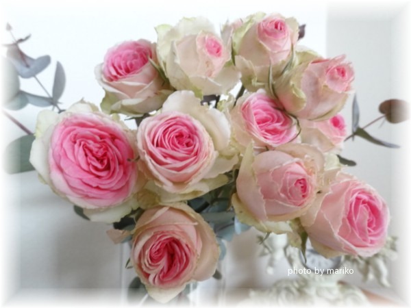 薔薇ミミエデン_d0165645_10344748.jpg