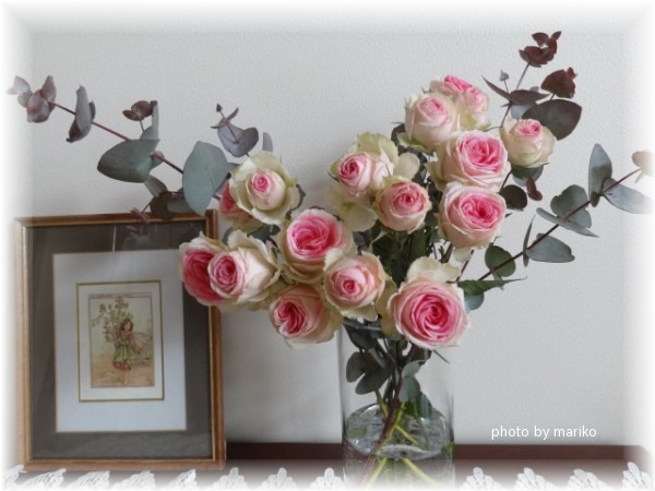 薔薇ミミエデン_d0165645_10351924.jpg