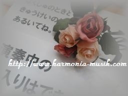 プログラム完成_d0165645_2022384.jpg