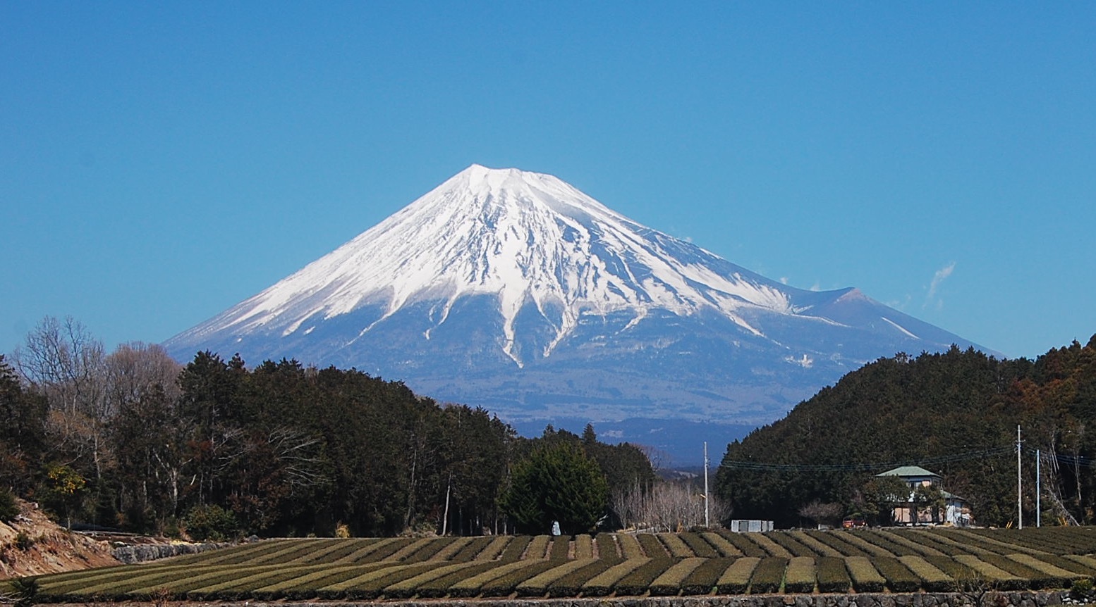 きょうの富士山_a0112660_1213261.jpg