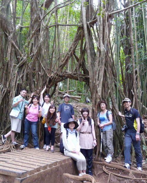 MANOA FALLS TRAIL_a0132260_15295553.jpg