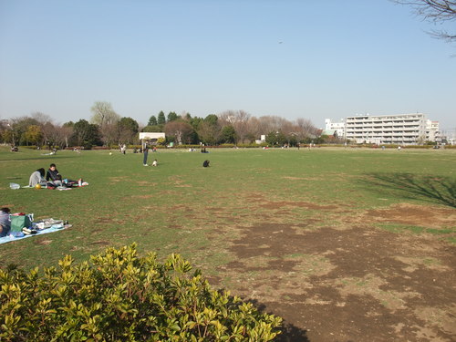 公園お散歩_c0255071_21341460.jpg