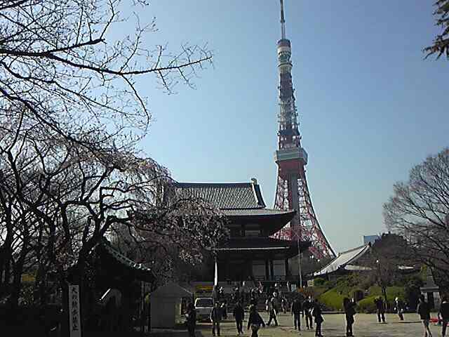 ぞーじょーじっ！！！_e0188079_13483820.jpg