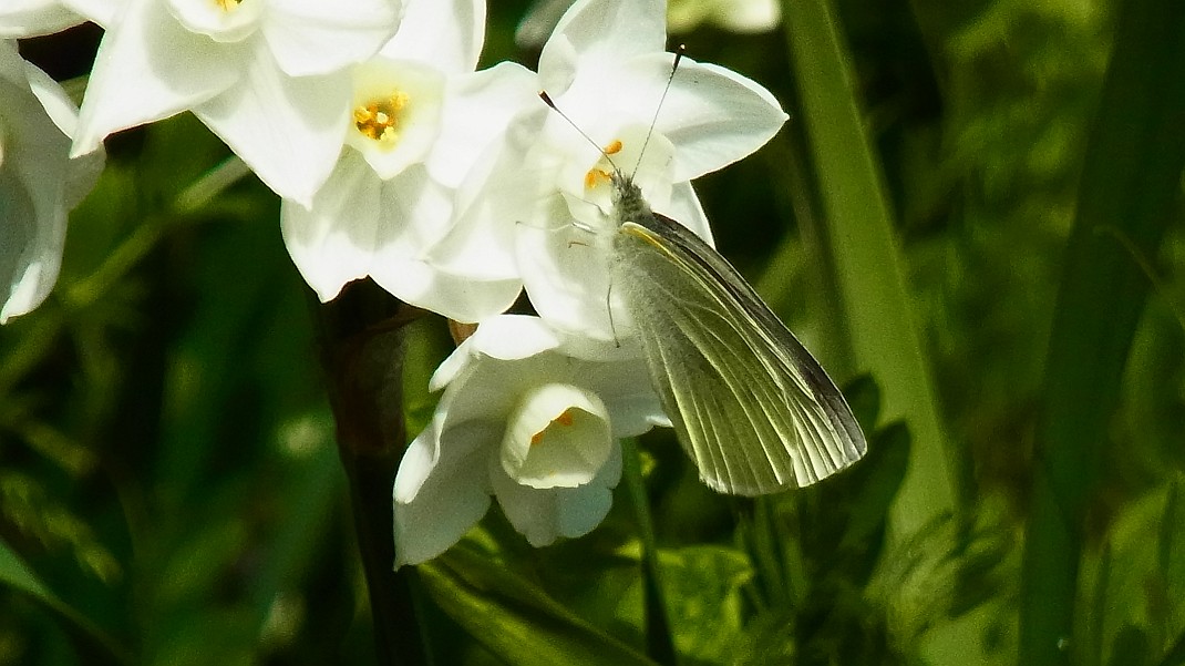 a0152692_180829.jpg