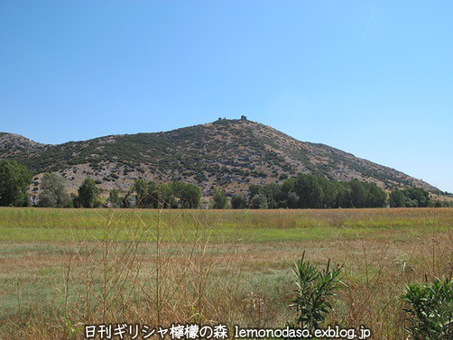 c0010496_19495390.jpg