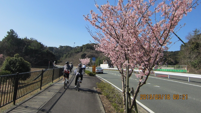 3/16（土）　第３回　ゆるゆる遠州ロングライド 73km 完走！_c0133096_21173294.jpg