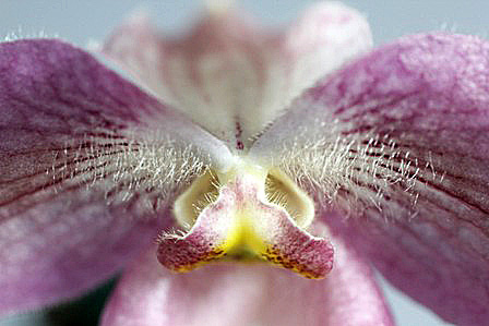d0007501_8583623.jpg