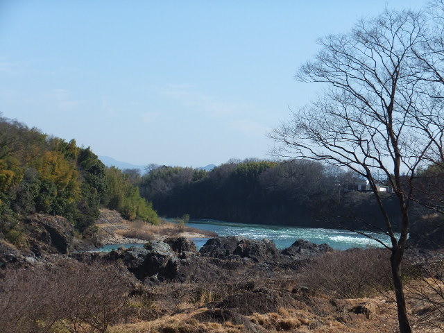 カタクリ群生地～鳩吹山～_a0271502_22113078.jpg