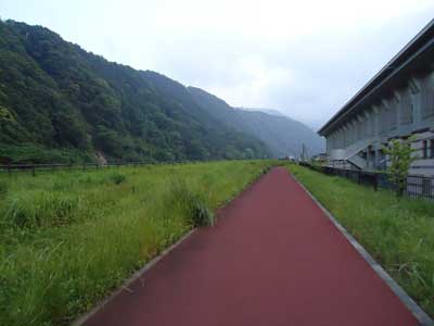 a0071805_1551551.jpg