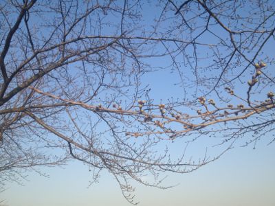 神戸の報告_e0239908_10303894.jpg