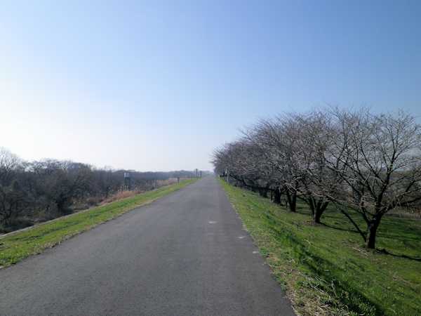 b0000209_18381391.jpg