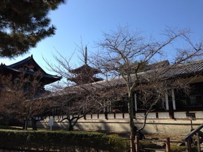 古都奈良_d0184114_2291134.jpg