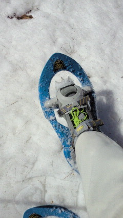 f0100825_13134234.jpg