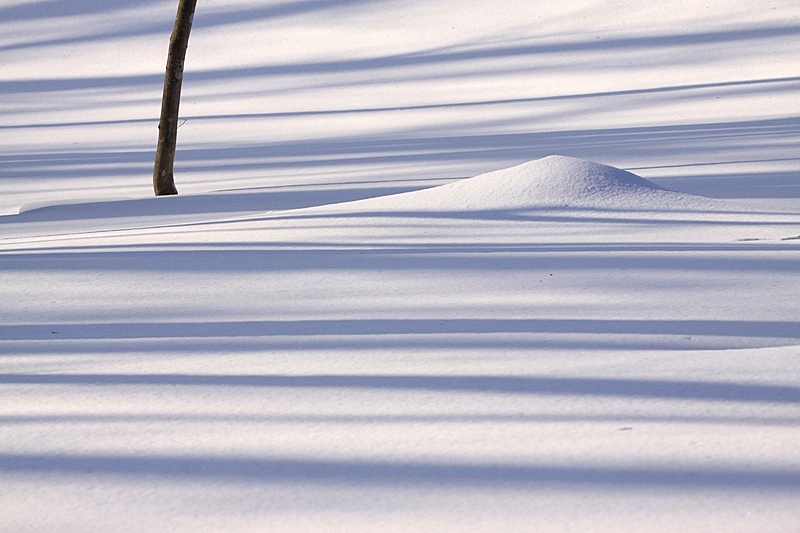 雪上を歩く　13・3・17_a0114629_9233153.jpg