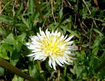 e0303929_39565.jpg