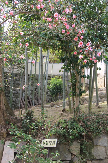 a0045932_1031634.jpg