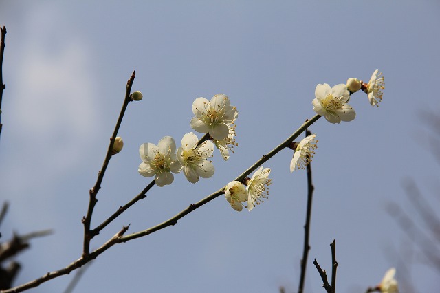a0045932_10365981.jpg