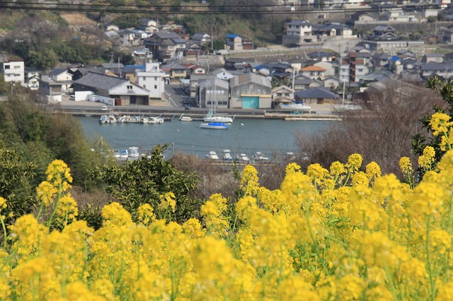 a0045932_1065572.jpg
